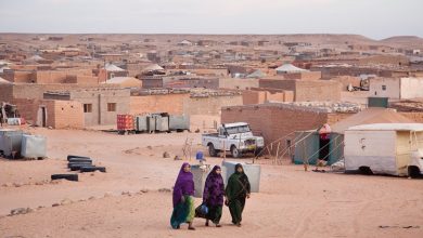 Photo of الجزائر ترسل مساعدات إنسانية للاجئين الصحراويين