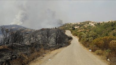 Photo of عملية تقييم خسائر الحرائق مستمرة عبر 26 ولاية