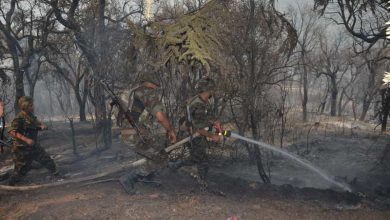 Photo of الجيش يتدخل لإخماد الحرائق في ولاية الشرق