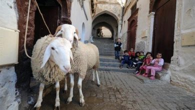 Photo of عيد الأضحى سيكون يوم الأربعاء 28 جوان