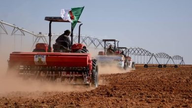 Photo of “الأرض لمن يستصلحها”..إطلاق التسجيلات للراغبين في الاستفادة