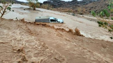 Photo of تساقط الأمطار..الحماية المدنية تحذر!